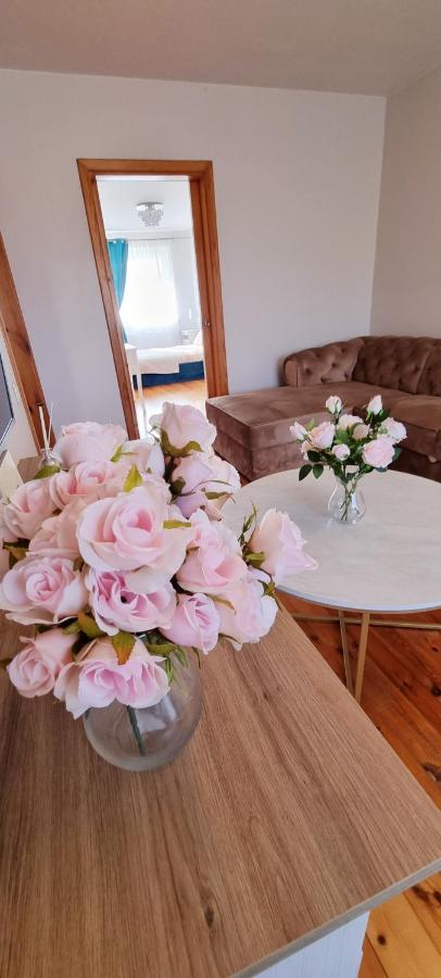 Jaukus Apartamentai Miesto Centre Šiauliai Dış mekan fotoğraf